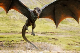 create amazing dragon logo for you