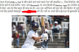 write hindi articles for your website