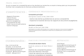 design a graphic resume CV to stand out from competitors