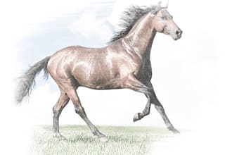 turn photos to sketch effect digitally