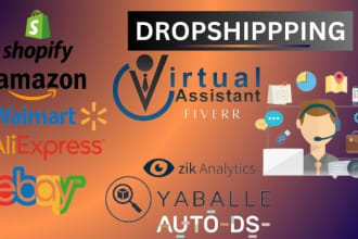 manage ebay store and experienced VA