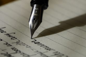 edit your novel, developmental and line, first 3 chapters free
