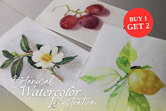 make beautiful botanical watercolor illustration with hand drawn