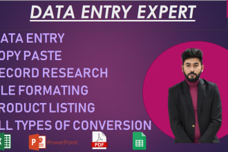 do fast data entry, pdf to excel, web research andcopy paste