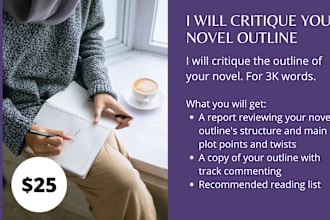 critique your novel outline