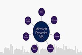 do dynamics 365 finance and operation