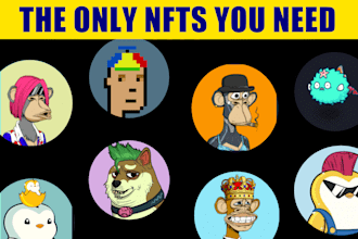 provide art and generative 10k to 20k nft collection