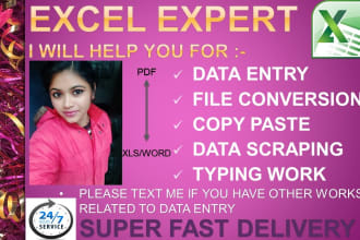 do data entry file conversion typing web research data scraping