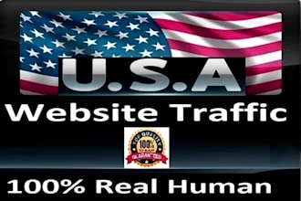 deliver organic website traffic from USA countries