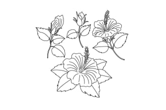 draw botanical illustration of flowers, plants, line art