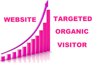 send your website targeted organic visitors from canada