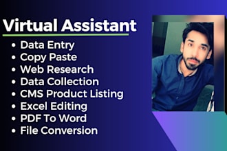 do fast accurate data entry, web research, copy paste and excel data entry job