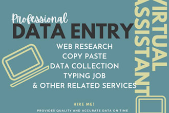 be your virtual assistant for data entry