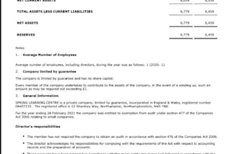 file your UK company accounts and corporation tax  to hmrc