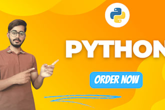 create custom python programming, web programming, python tasks