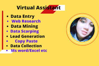 do data entry virtural assistant data  tryping work satistical data analysis
