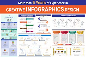 design professional infographic, flowchart, pie charts, graph diagram