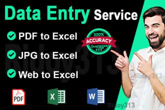 do data entry, copy paste, typing, PDF to excel, excel data entry