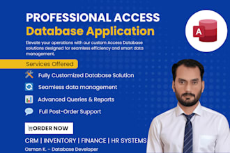 build professional microsoft access database applications