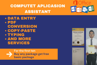 do microsoft office work, data entry, copypaste, PDF convert