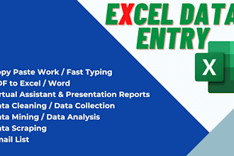 do excel data entry, typing, formatting, and report generation