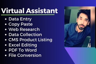 be your virtual assistant for data entry typing work and web research