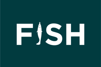 create a unique wordmark, letter mark, typography or text logo