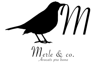 create your logo and templates for ms office or mac