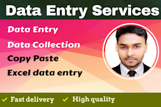 do data entry, excel, scraping, data collection, copy paste