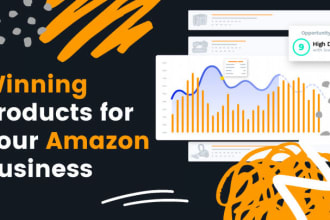 find winning products for amazon  and supplier less competition and visibility