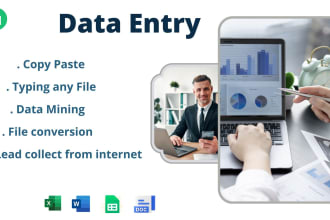 do excel data entry, data mining, typing, copy paste and file convert