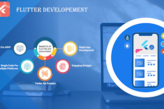 customize flutter application development