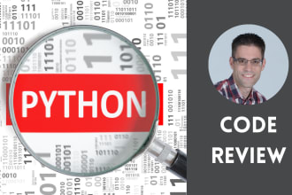 review your python code