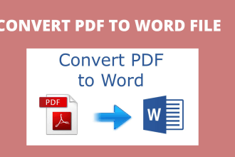 convert pdf file to word file