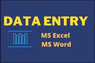 do excel data entry and ms word data entry