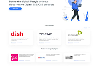 make professional web designs