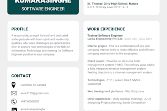 provide the outstanding resume for your requirement