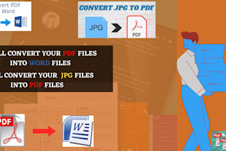 professionally convert PDF into word document