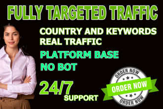 provide daily 1000 fully targeted website traffic