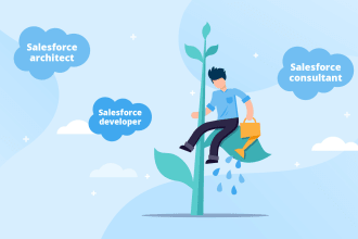 do any salesforce development,configuration