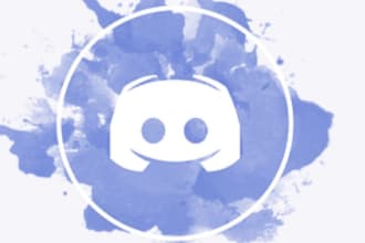 professionally setup a new or existing discord server