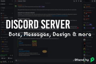 setup a community discord server