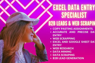 do excel data entry, b2b lead generation, and web scraping