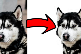 remove background for pictures