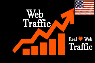 real visitors from USA to your website