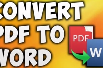 convert PDF to word, pdf to excel, copy paste, data entry