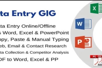 do professional data entry ms excel or ms word, ms office expret