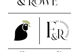 create a business brand guide and custom logo