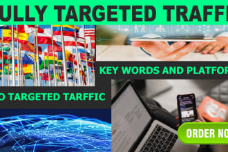 drive fully targeted website traffic