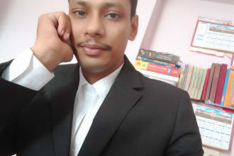 provide legal and paralegal assistance